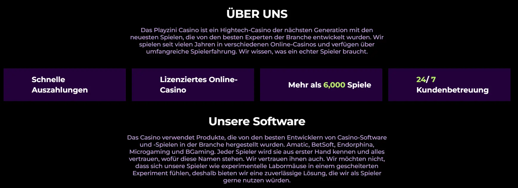 playzini casino über das casino